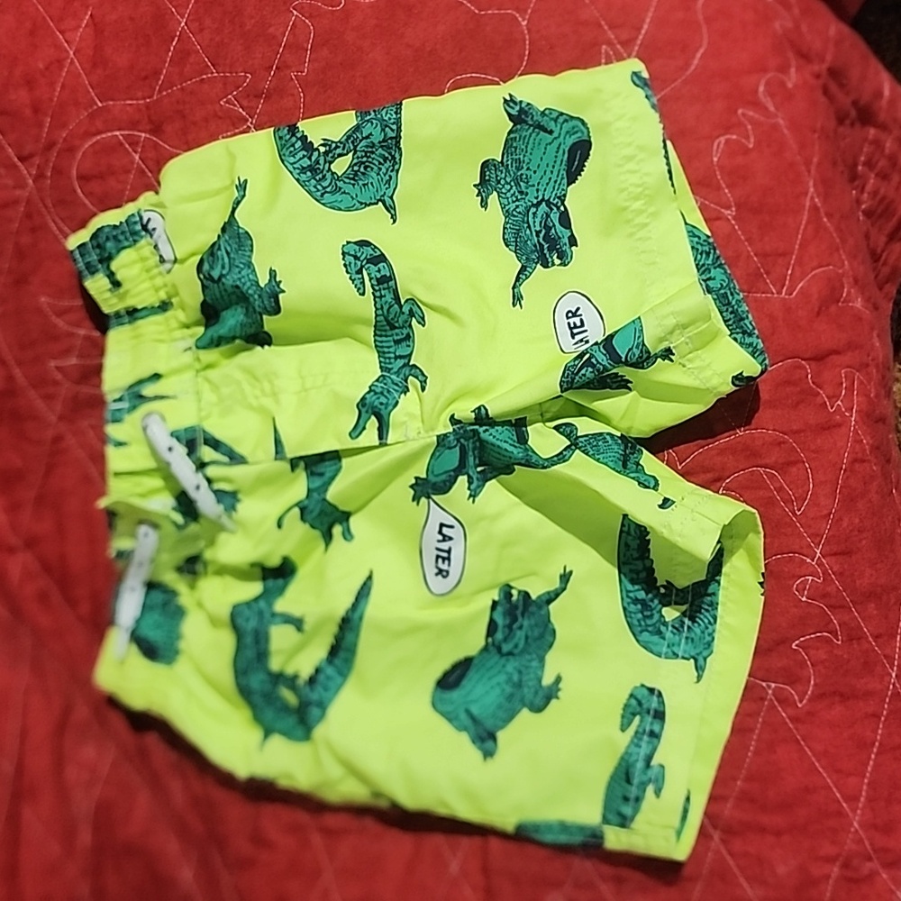 Carter's boys later gator swim trunks